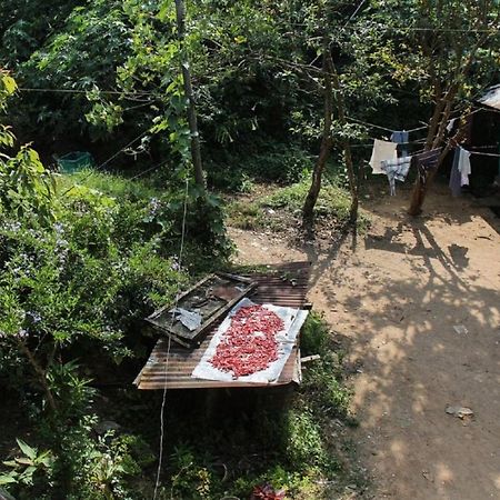 Munnar Kaippalli Budget Homestay Exterior foto